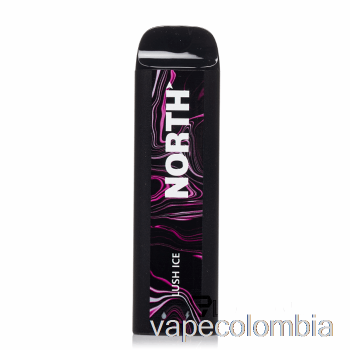 Vape Desechable North 5000 Hielo Exuberante Desechable